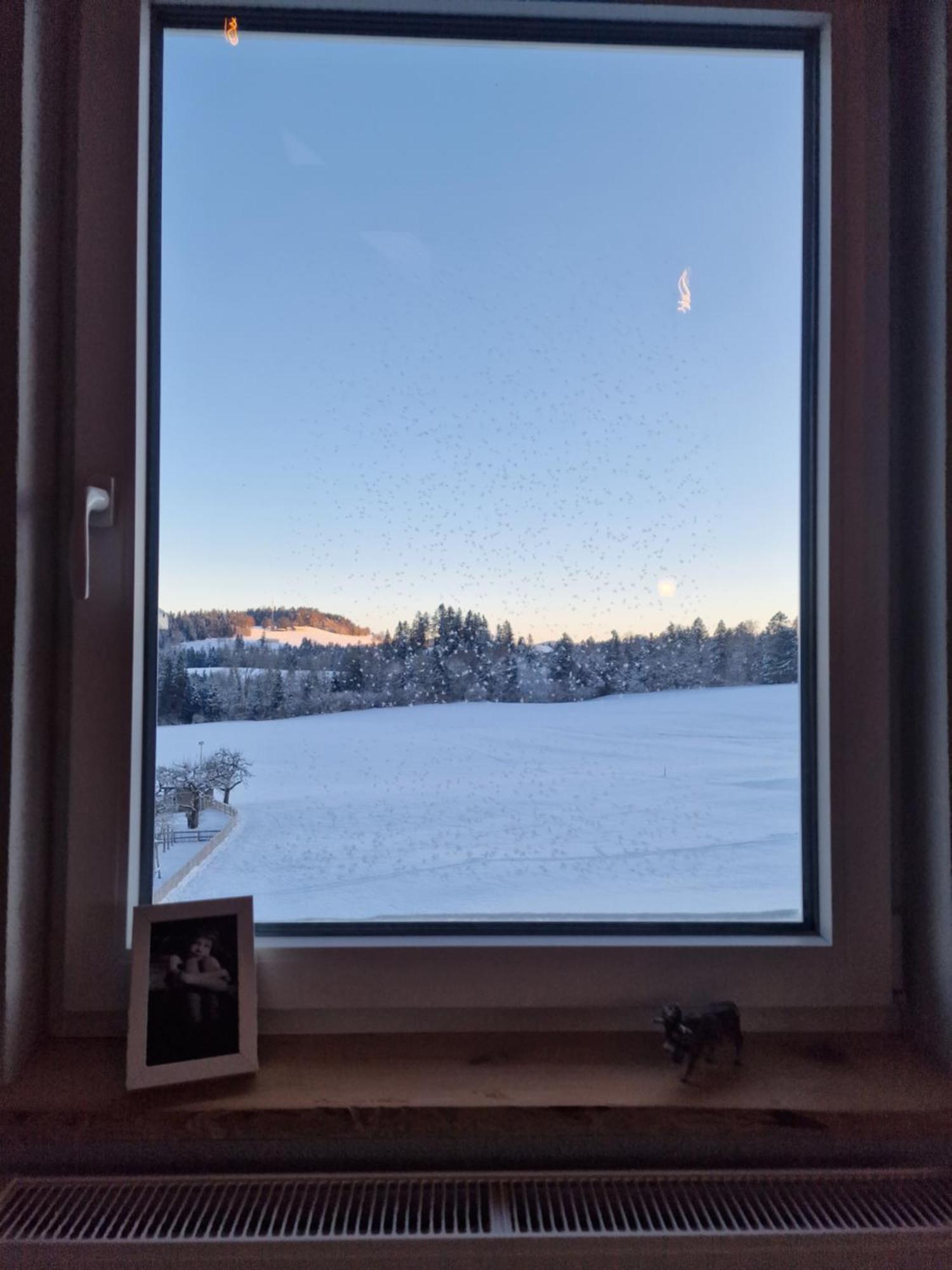 Apartamento Der Perfekte Ausgangspunkt Weiler-Simmerberg Exterior foto