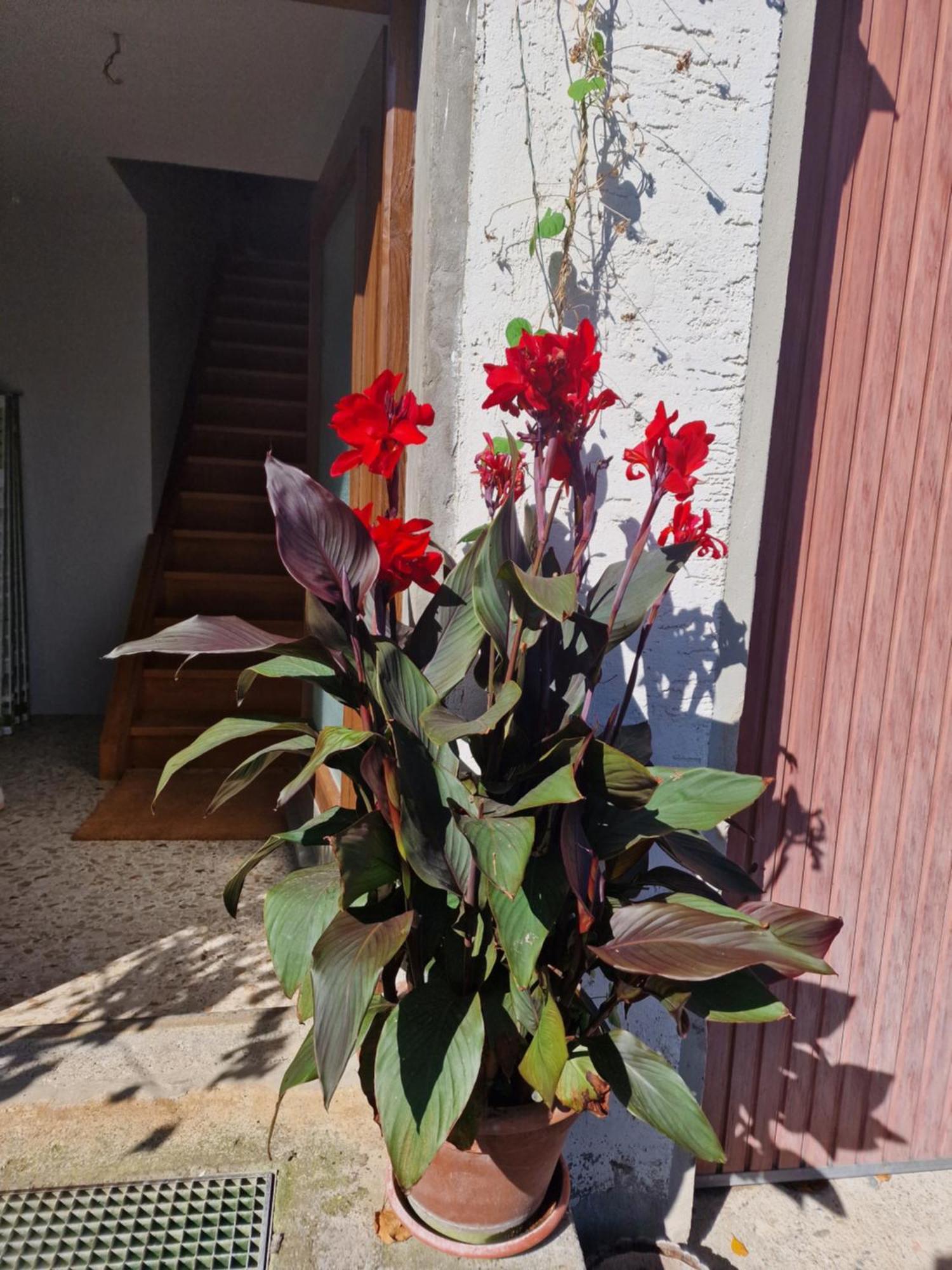 Apartamento Der Perfekte Ausgangspunkt Weiler-Simmerberg Exterior foto