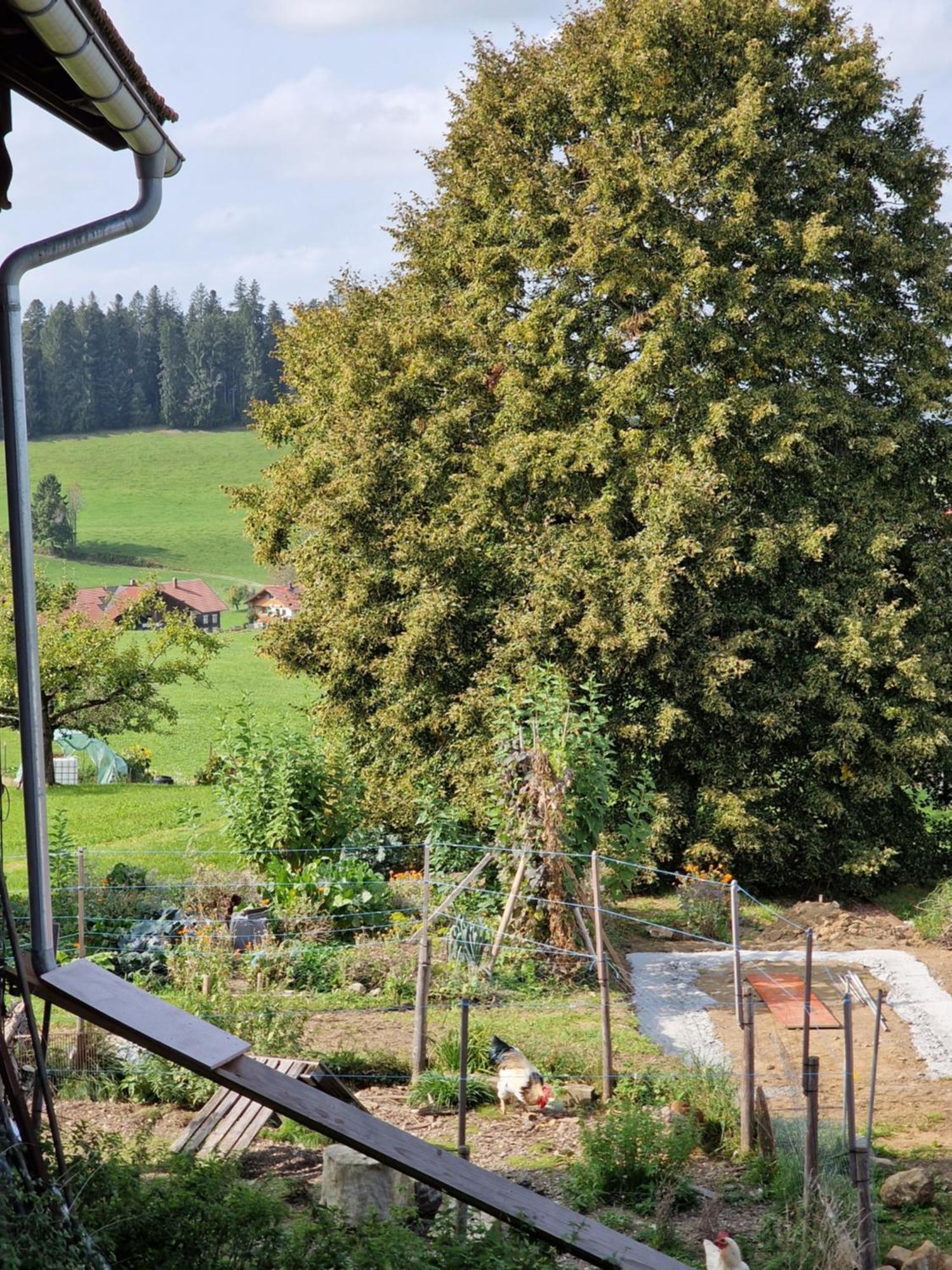 Apartamento Der Perfekte Ausgangspunkt Weiler-Simmerberg Exterior foto